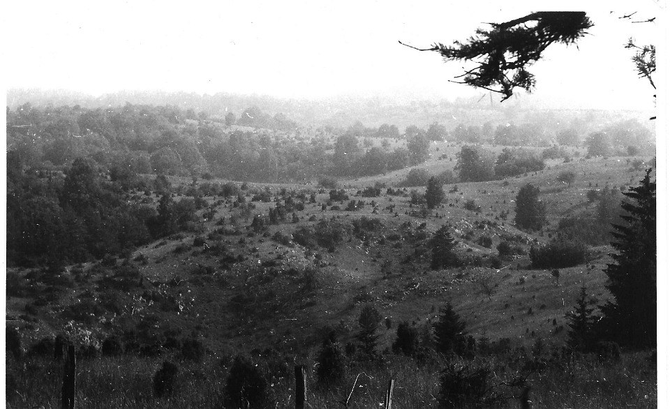 scan0018 - plesivecka planina